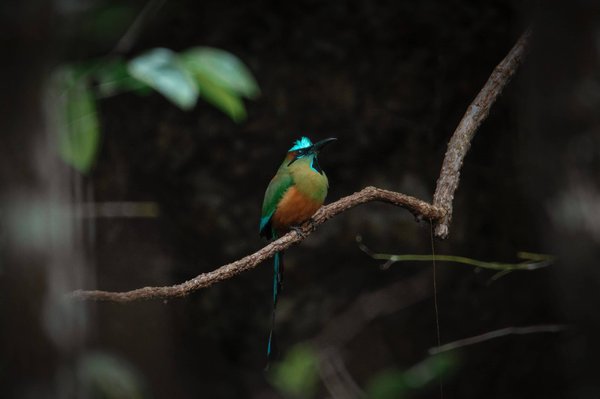 Quelle est la définition de l'environnement ?